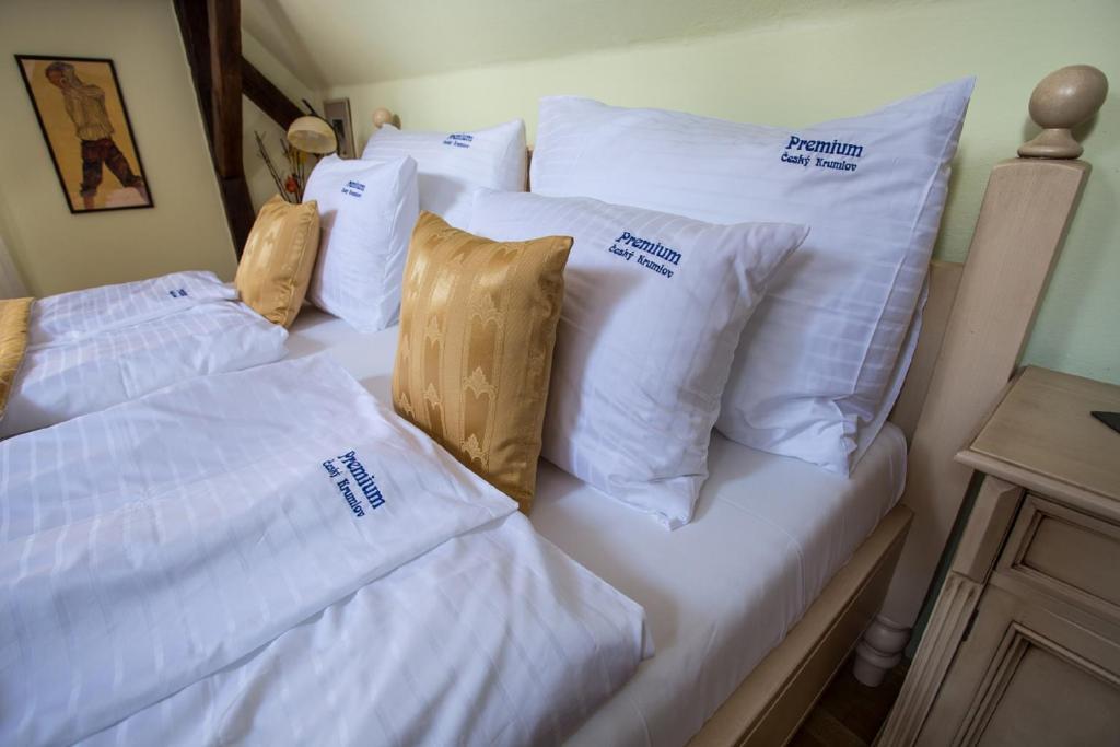 Pension Premium Český Krumlov Esterno foto