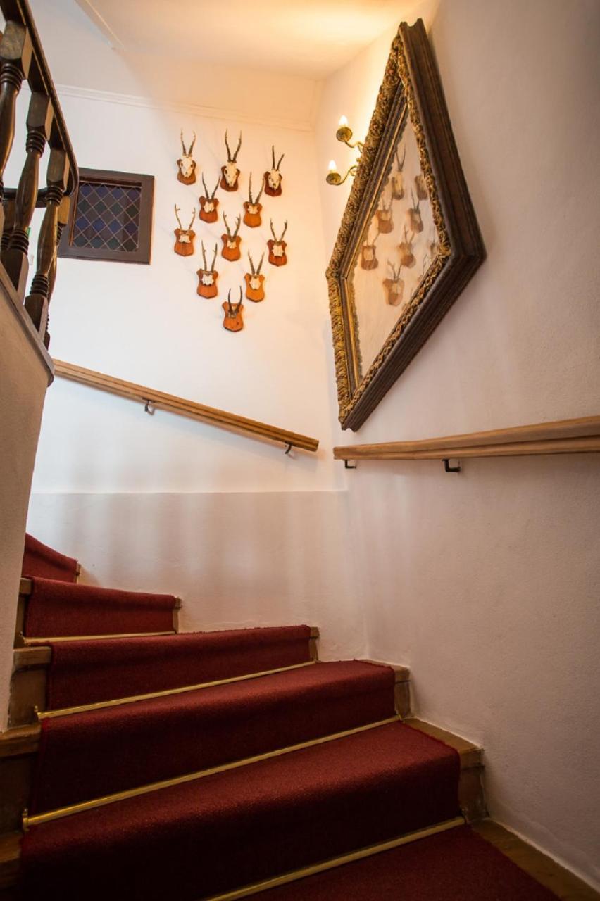Pension Premium Český Krumlov Esterno foto